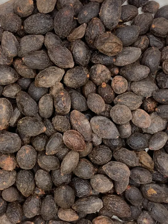 Saw Palmetto benefits for men